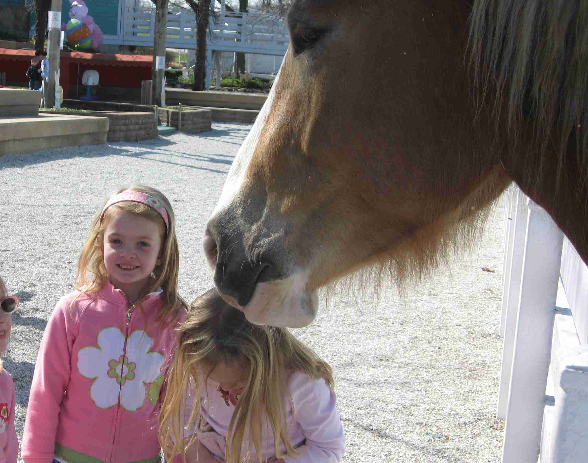 2009-03-26 Jane and a horse at Purina Farms.jpg